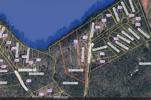 161 Saluda Bluff Rd, Batesburg, SC 29006 - Photo 53