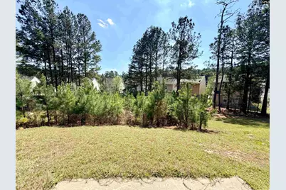 1073 Roscoe Road, Lexington, SC 29073 - Photo 21