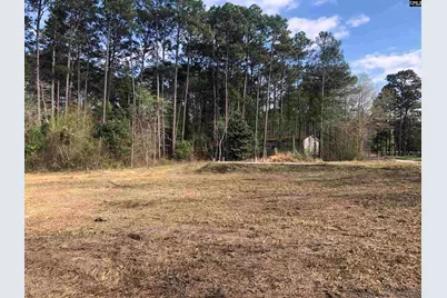 William Circle, West Columbia, SC 29172 - Photo 11