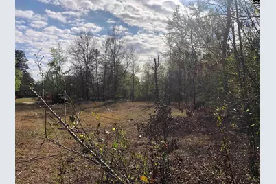 William Circle, West Columbia, SC 29172 - Photo 3