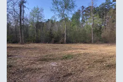 William Circle, West Columbia, SC 29172 - Photo 1