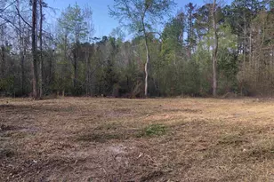 William Circle, West Columbia, SC 29172 - Photo 1