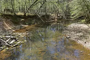 18 Doe Dr, Little Mountain, SC 29075 - Photo 51