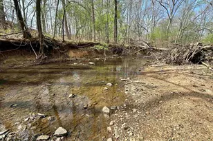 18 Doe Dr, Little Mountain, SC 29075 - Photo 51