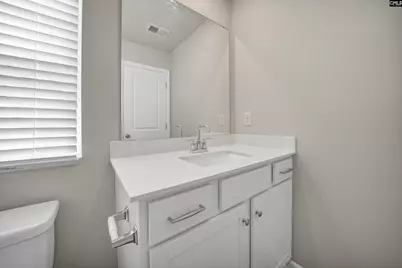 163 Winding Chestnut Drive, Columbia, SC 29053 - Photo 29