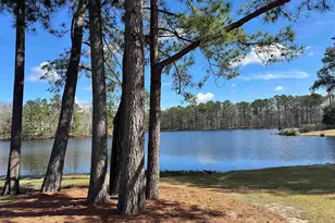 572 Corkscrew Ln, Blythewood, SC 29016 - Photo 37