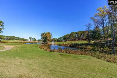 203 Woodlander Drive, Blythewood, SC 29016 - Photo 43