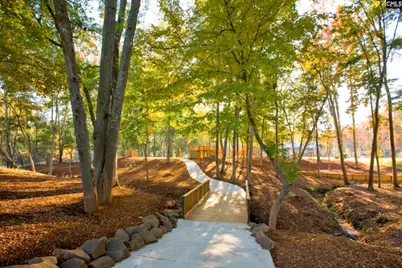 534 Dreher Locks Road, Lexington, SC 29072 - Photo 29