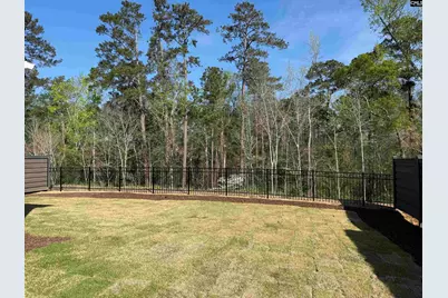 534 Dreher Locks Road, Lexington, SC 29072 - Photo 23