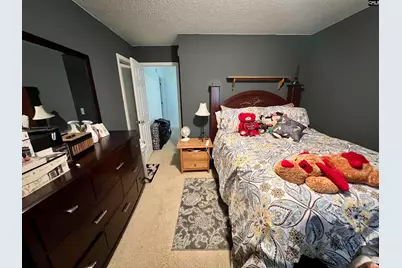 310 Wintergreen Road, Columbia, SC 29229 - Photo 15