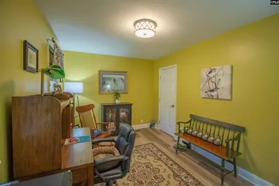 545 Superior Circle, Chapin, SC 29036 - Photo 19