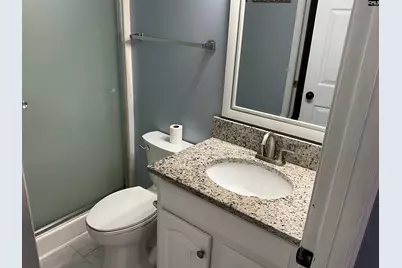 24 Tall Palmetto Lane, Lexington, SC 29072 - Photo 17