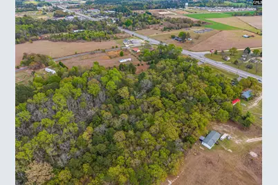 173 Schofield Road, Gilbert, SC 29054 - Photo 9