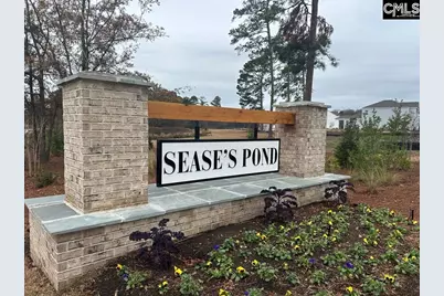329 Babcock Way, Gilbert, SC 29054 - Photo 39