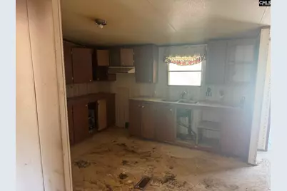 230 Ann Street, Pelion, SC 29123 - Photo 9