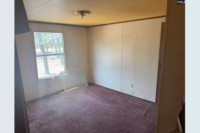 230 Ann Street, Pelion, SC 29123 - Photo 3