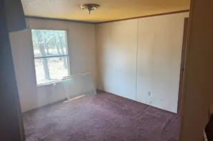 230 Ann St, Pelion, SC 29123 - Photo 3