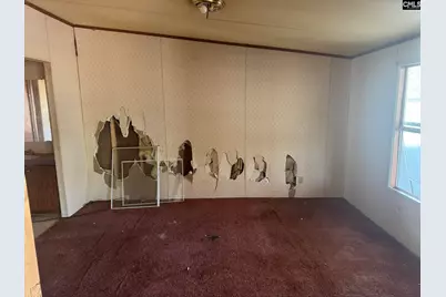 230 Ann Street, Pelion, SC 29123 - Photo 7