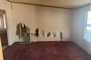 230 Ann St, Pelion, SC 29123 - Photo 7