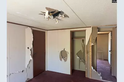 230 Ann Street, Pelion, SC 29123 - Photo 5