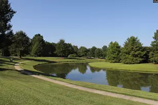 9 N Woodburn Ln, Columbia, SC 29212 - Photo 47