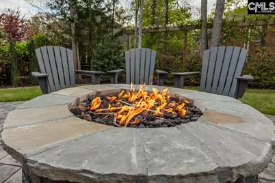 105 Shores Edge Drive, Chapin, SC 29036 - Photo 5