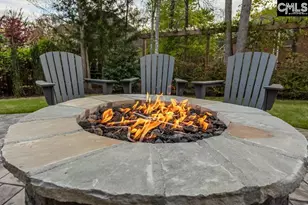 105 Shores Edge Dr, Chapin, SC 29036 - Photo 5