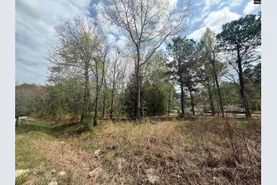 129 Treemount Lane, Gaston, SC 29053 - Photo 5