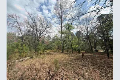 129 Treemount Lane, Gaston, SC 29053 - Photo 3