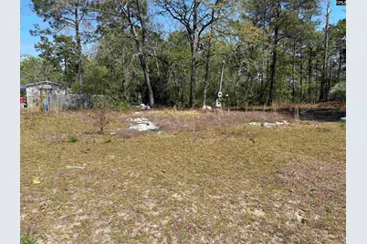 149 Hass Lucas Road, Gaston, SC 29053 - Photo 3