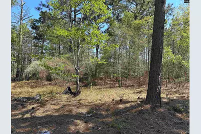 149 Hass Lucas Road, Gaston, SC 29053 - Photo 13