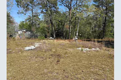 149 Hass Lucas Road, Gaston, SC 29053 - Photo 1