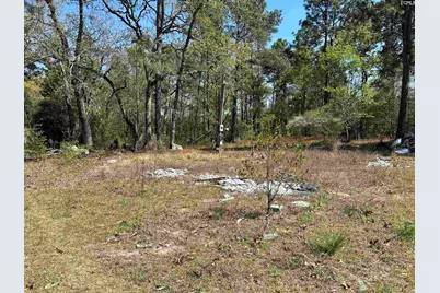 149 Hass Lucas Road, Gaston, SC 29053 - Photo 5