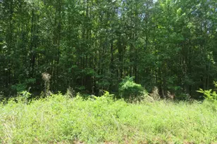 S/S Old Eastover Rd, Eastover, SC 29044 - Photo 3