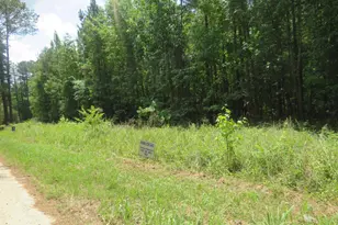 S/S Old Eastover Rd, Eastover, SC 29044 - Photo 7