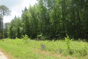 S/S Old Eastover Rd, Eastover, SC 29044 - Photo 19