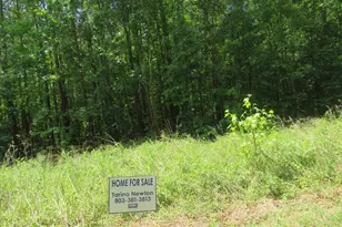 S/S Old Eastover Rd, Eastover, SC 29044 - Photo 17