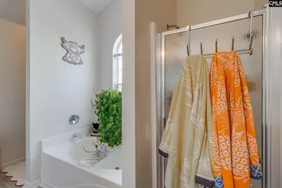 502 Whitewater Drive, Irmo, SC 29063 - Photo 27