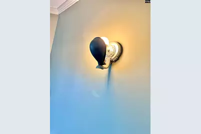 207 Wateree Avenue, Columbia, SC 29205 - Photo 37