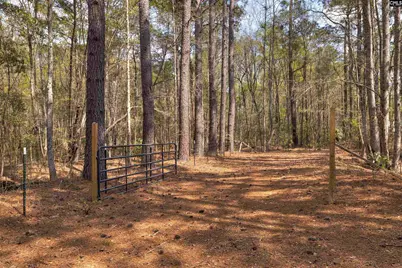 2341 Old Whites Mill Road, Sumter, SC 29153 - Photo 61