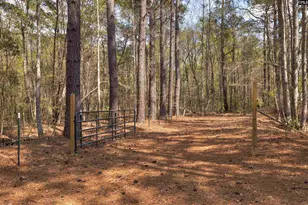 2341 Old Whites Mill Rd, Sumter, SC 29153 - Photo 61