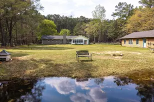 2341 Old Whites Mill Rd, Sumter, SC 29153 - Photo 77