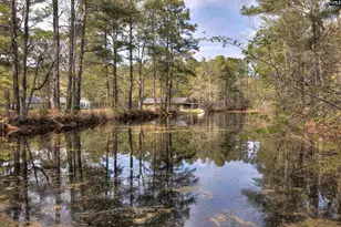 2341 Old Whites Mill Rd, Sumter, SC 29153 - Photo 63