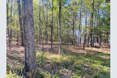 0 Lands End Lane #219, Prosperity, SC 29127 - Photo 15