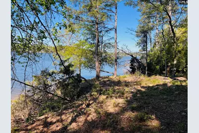 0 Lands End Lane #219, Prosperity, SC 29127 - Photo 5