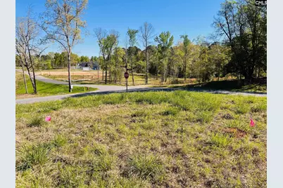 0 Lands End Lane #219, Prosperity, SC 29127 - Photo 17