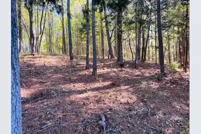 0 Lands End Lane #219, Prosperity, SC 29127 - Photo 13