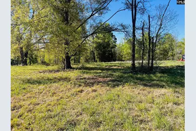 0 Lands End Lane #219, Prosperity, SC 29127 - Photo 7