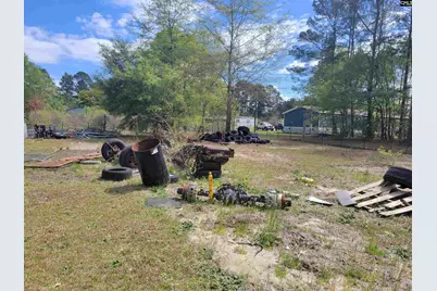 151 Sandpit Court, Leesville, SC 29070 - Photo 21