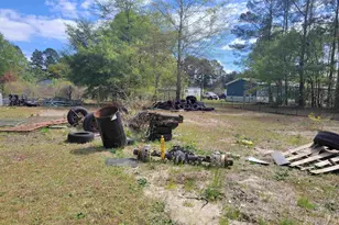 151 Sandpit Ct, Leesville, SC 29070 - Photo 21